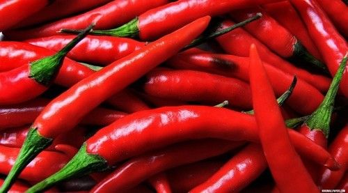 Organic Red Chilli Finger