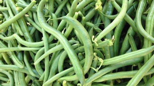 Microwaved Fresh Green Beans