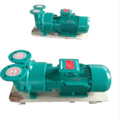 2Bv Series Water Ring Vacuum Pump Flow Rate: 2-20L/Min