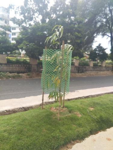 Green Durable Plastic Tree Guards