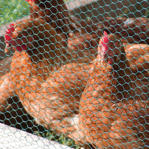 Excellent Quality Poultry Mesh