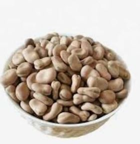 High Nutritional Egyptian Bean