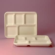 Top Rated Biodegradable Tray