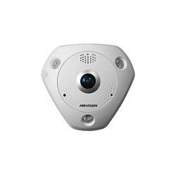 Hikvision Fisheye Camera