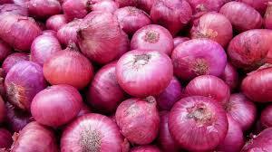 Medium Size Fresh Red Onion