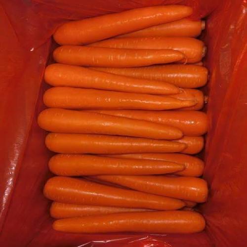 Farm Fresh Carrot