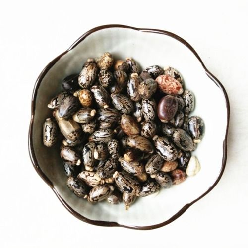 Impurity Free Castor Seeds