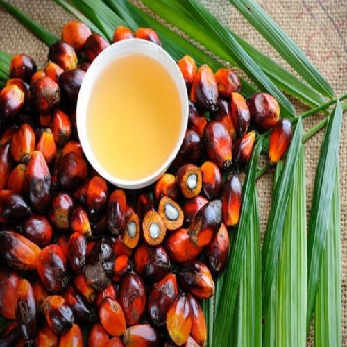 Impurity Free Refined Palm Oil
