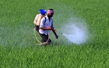 Natural Pesticides Chemical