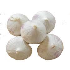 Fresh Organic Solo Garlic