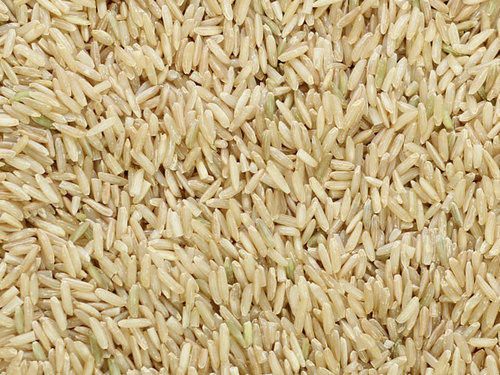 Fresh Organic Basmati Rice