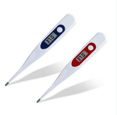 Digital Thermometer WDT101