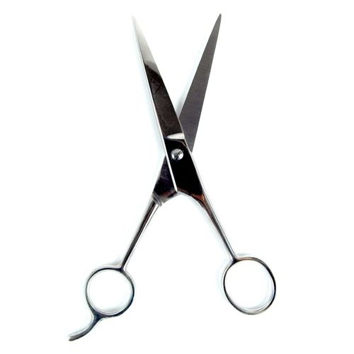 Silver High Quality Hair Dressing Scissor