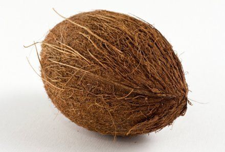 Semi Husked Matured Coconut