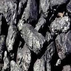 indigenous coal