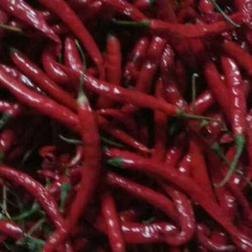 Dry Red Chillies