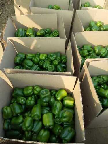 Organic Fresh Capsicum