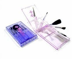 5 Piece Makeup Brush Set In A Translucent Acrylic Case