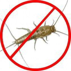 Silverfish Control Service