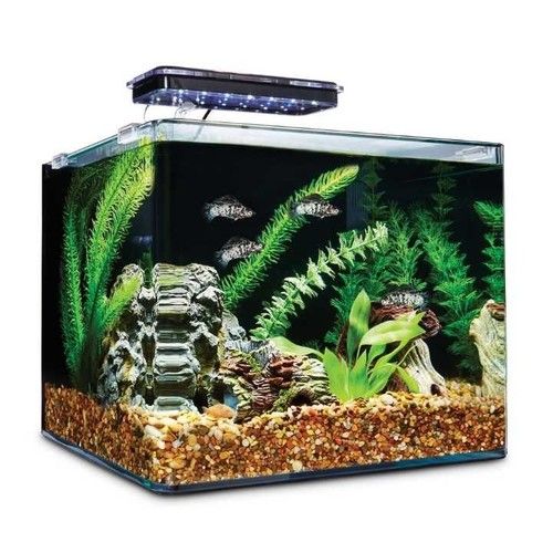 https://tiimg.tistatic.com/fp/1/005/512/frameless-fish-big-aquarium--700.jpg