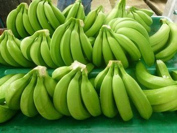 Green Banana, Fresh Cavendish Banana