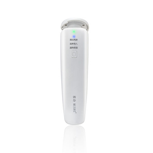 Face Beauty Care Massager