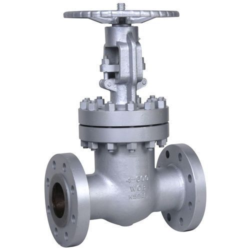 Mild Steel Gate Valve