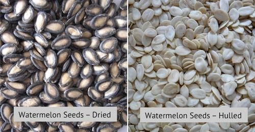 Fresh Watermelon Seed Kernel Shelf Life: 24 Months