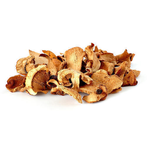 Fresh Oyster Mushrooms - 100% Pure Quality, Long Shelf Life Up to One Year, Versatile for Culinary Creations