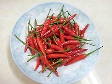 Fresh Long Red Chilli