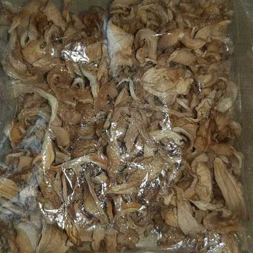 Washable Dried Oyster Mushroom