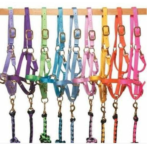 Horse Belt Halter And Leads