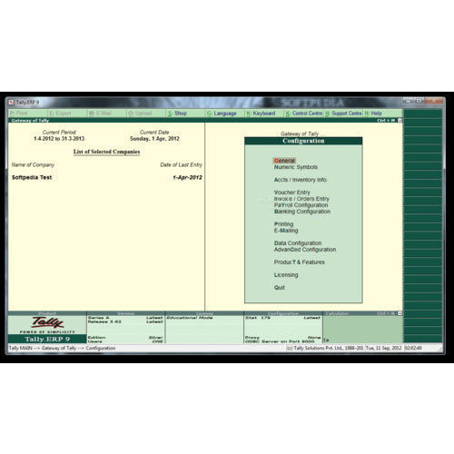 Tally Accounting Software Rental Services