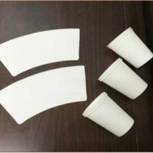 Plain White Paper Cup Blank