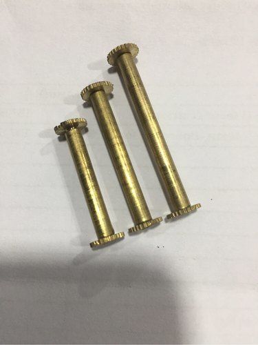 Premium Quality Brass File Screw