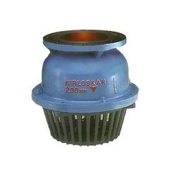 Top Class Cast Iron Foot Valve