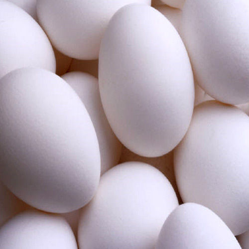Indian White Egg