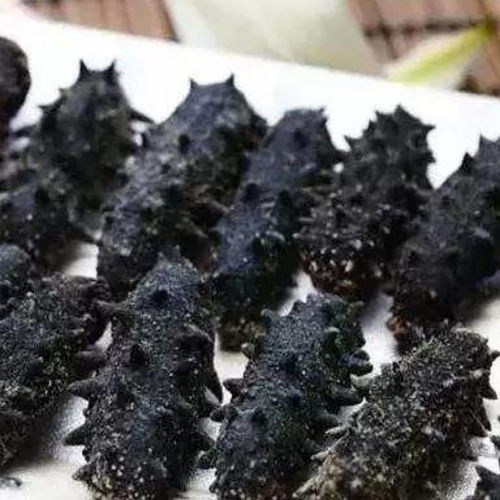 Frozen Dried Sea Cucumber