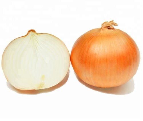 High Quality Fresh Yellow Onion