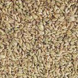 Quality Tested Ajwain Seed