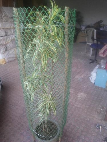 Wire Mesh Tree Guard