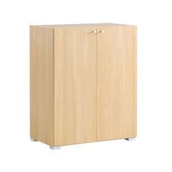 Non Foldable Wooden Storage Cabinet