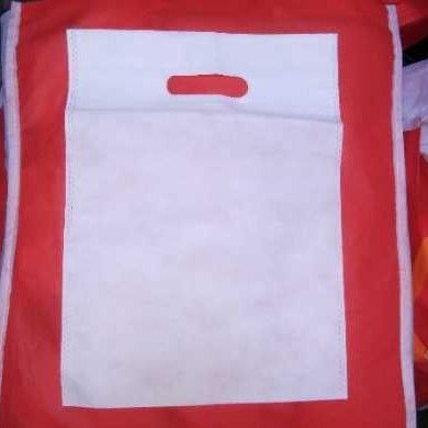 Non Woven Fabric Bag - High Load Bearing Capability, Classy Look & High Strength