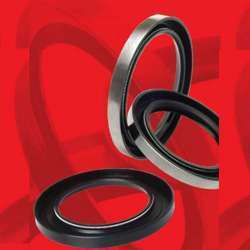 Industrial Rotary Shaft Seals