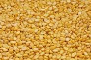 Yellow Fresh Organic Moong Dal