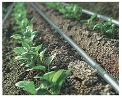 Drip Irrigation Pipe