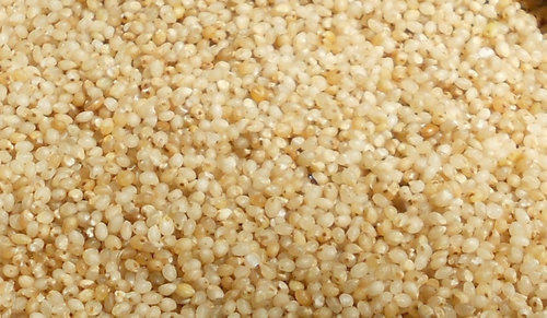 Best Quality Little Millet