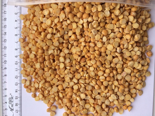 Yellow Split Peas