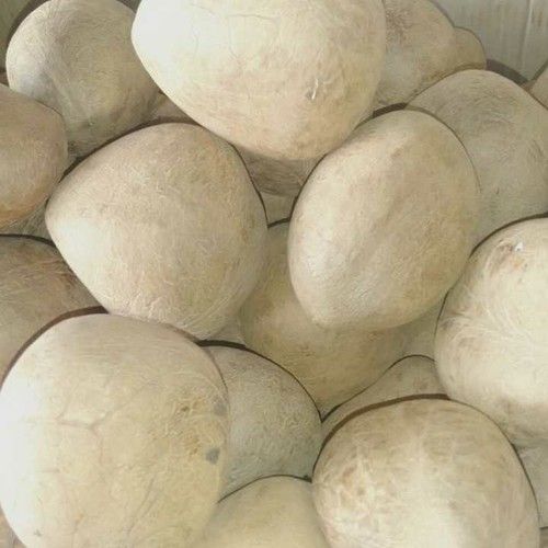 Dry Copra Coconut