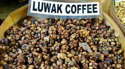 Impurity Free Wild Luwak Coffee